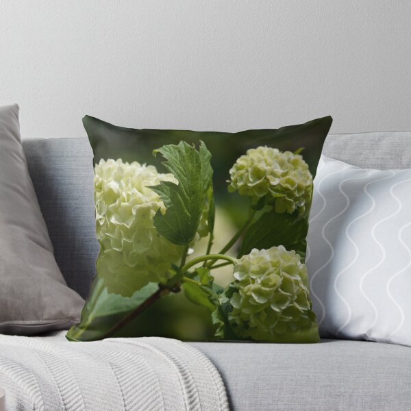 Greeny-white Hydrangea Throw Pillow
