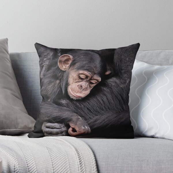 Protection II Throw Pillow