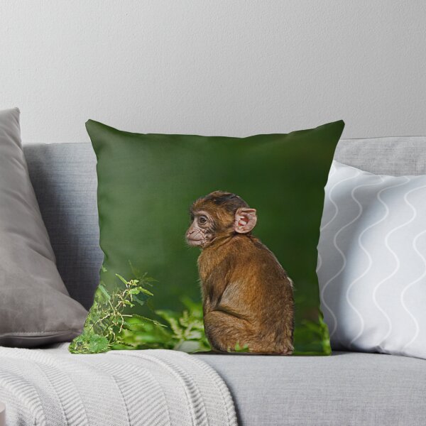 Item preview, Baby Barbary Ape in the Sun designed and sold by JMChown.