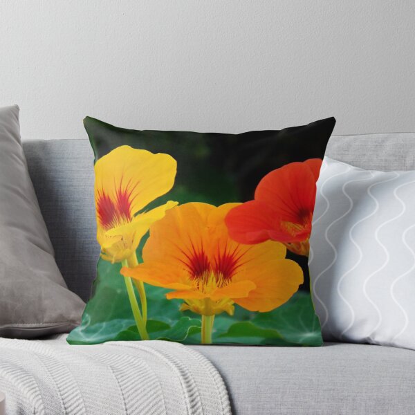 Aperçu de l'œuvre Nasturtiums créée et vendue par AnnDixon.