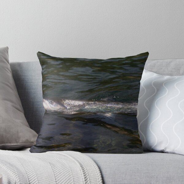 Item preview, Atlantic salmon portrait . by Brown Sugar . No.3. Views: 207 . Thx! designed and sold by © Andrzej Goszcz,M.D. Ph.D.