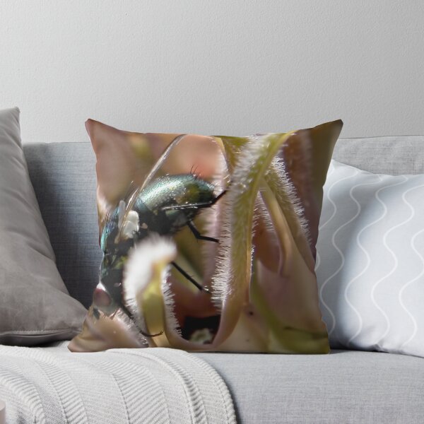 Item preview, Blue Bottle Fly (Calliphora vomitoria) Side View on Pseudolithos cubiformis designed and sold by Linda Gleisser.