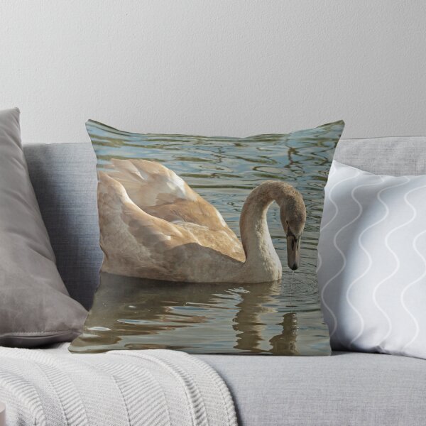 Item preview, Juvenile Mute Swan designed and sold by Robert Abraham.