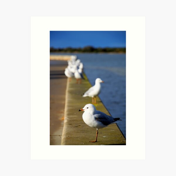 Item preview, Jon & The Breakfast Flock designed and sold by Natalie Ord.