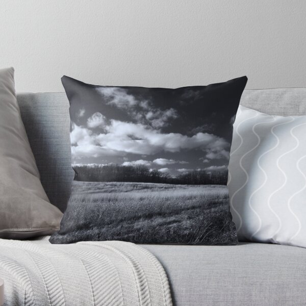 Meadow in November Throw Pillow