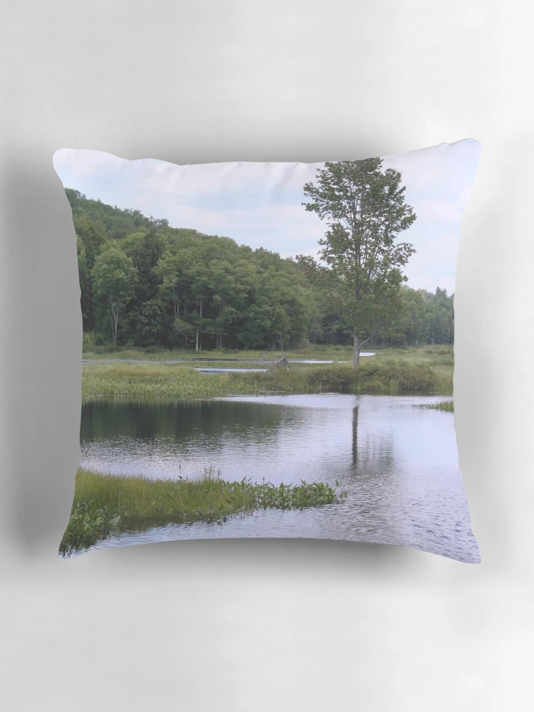 Thumbnail 3 of 4, Pillow, Sentinel designed and sold by RHMack.