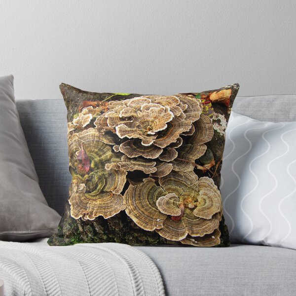 Item preview, Coriolus versicolor designed and sold by Irina777.
