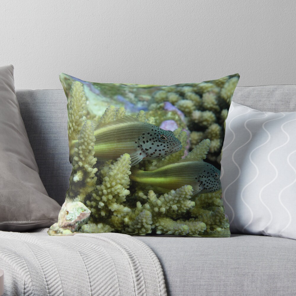 Hawkfish pair Throw Pillow