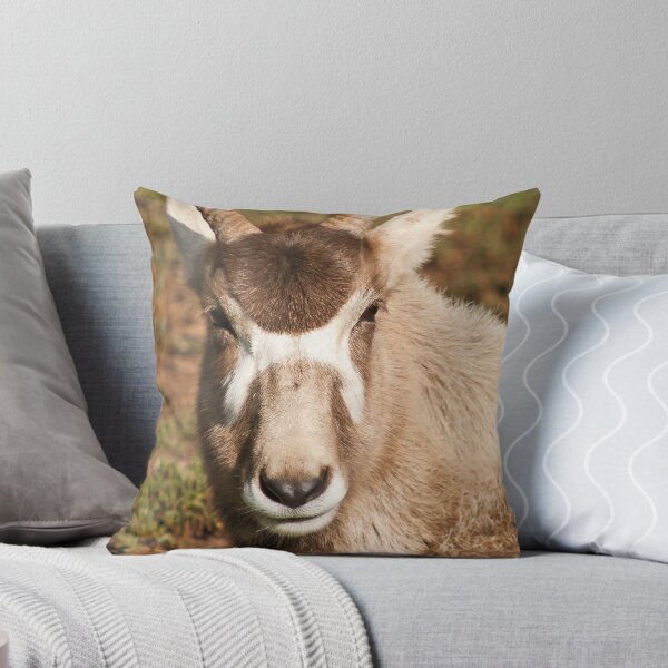 Item preview, Wild Faces: Antelope designed and sold by Christopher Ashdown.