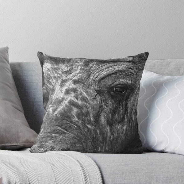 Item preview, Deep In Thought designed and sold by Michael Moss Photography.