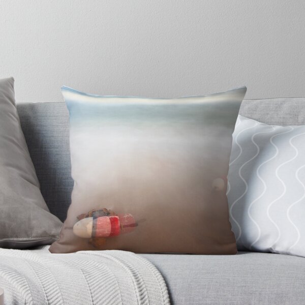 Buoy In Motion Throw Pillow