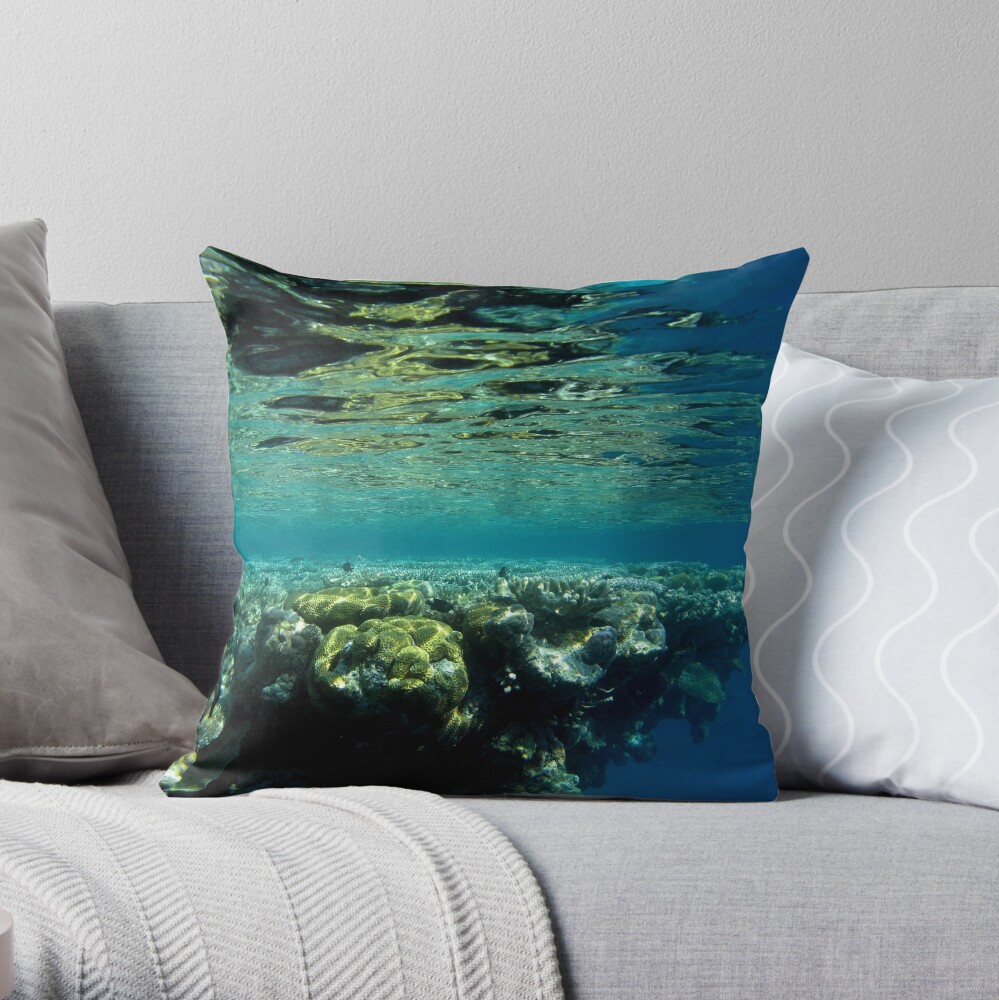 The edge of the Maze Throw Pillow