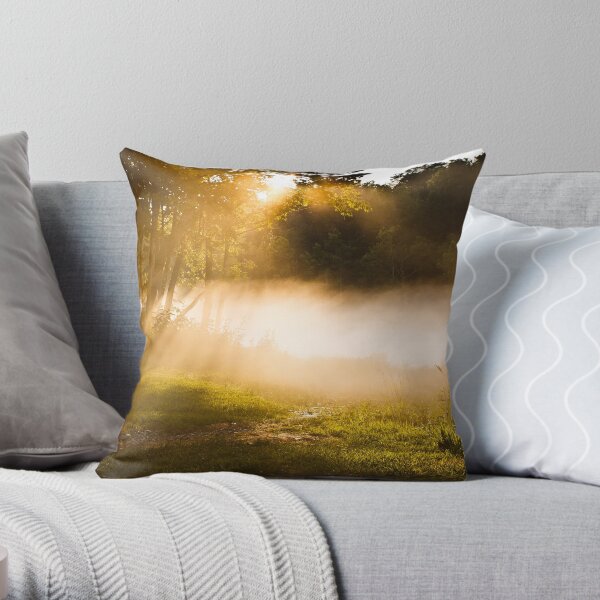 On a Beam of Light 2 Throw Pillow