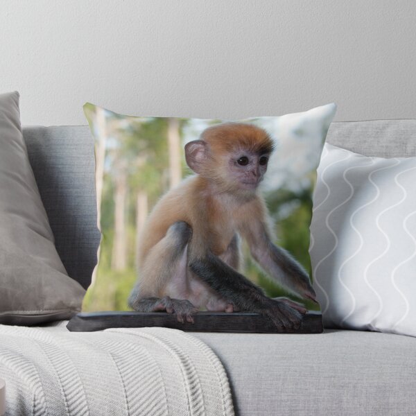 Baby Silver Leaf Monkey Throw Pillow
