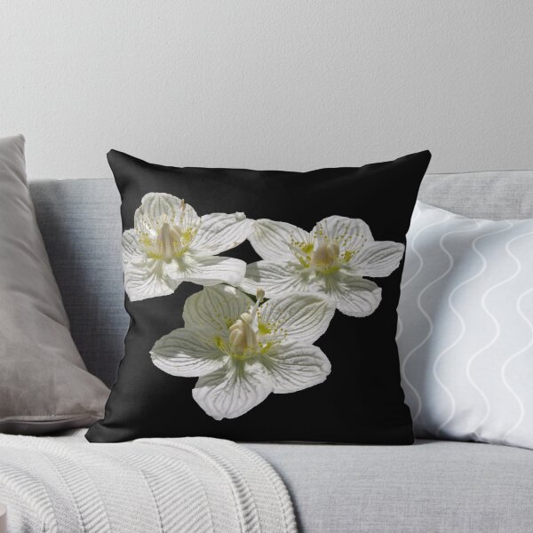 Item preview, 3 of a kind. designed and sold by Lee d'Entremont.