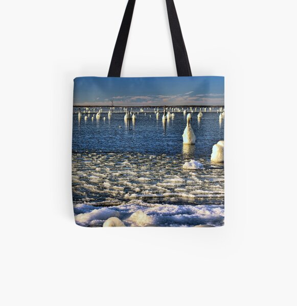 unusual beach bags