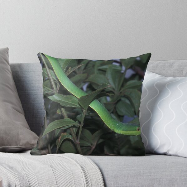 Item preview, Green Vine Snake, Oxybelis fulgidus, Venezuela designed and sold by Michal Cerny.