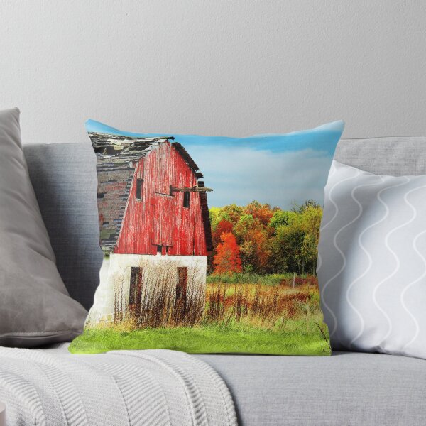 Artikelvorschau, The Old Red Barn entworfen und verkauft von Marcia Rubin.