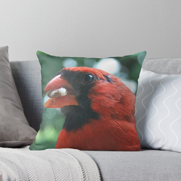 Artikelvorschau, Northern Cardinal entworfen und verkauft von G. David Chafin Photography.