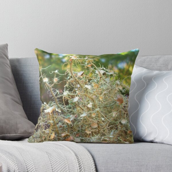 Item preview, Usnea Lichen , Old Man's Beard designed and sold by Path-Finder.