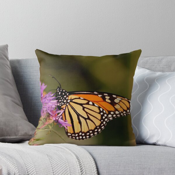 Item preview, And yet another monarch..i'm doing a calendar..LOL designed and sold by NewfieKeith.
