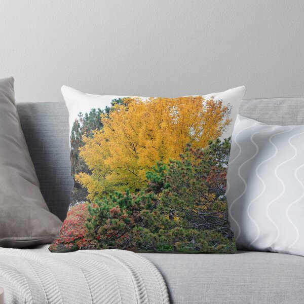 Aperçu de l'œuvre Fall Colors créée et vendue par NewfieKeith.