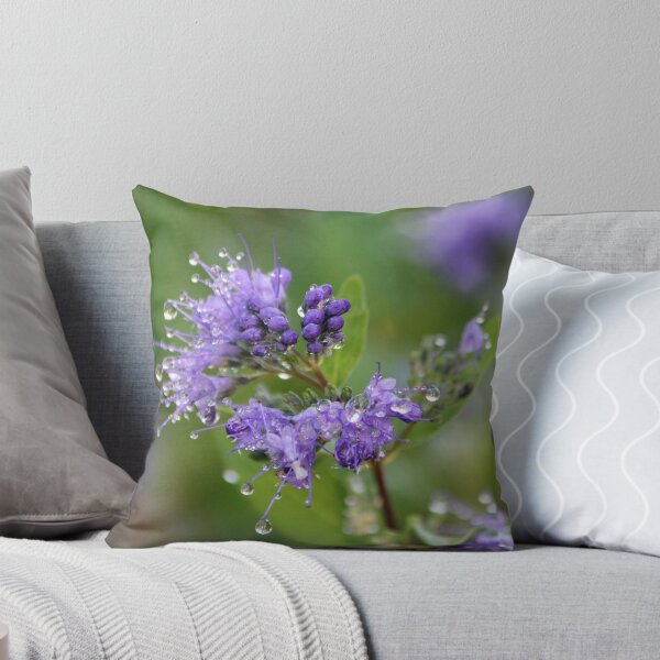 Item preview, Not So Dreary After All :) designed and sold by NewfieKeith.