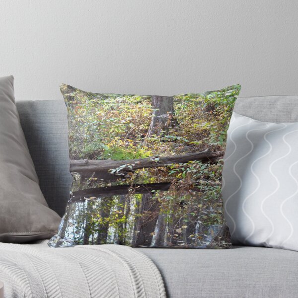 Item preview, Flipping Reflections!!! designed and sold by Sean Paulson.