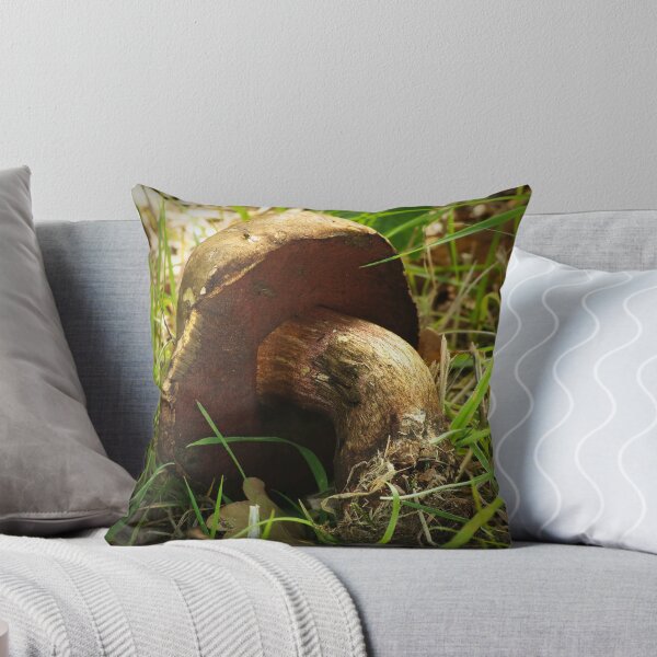 Item preview, Forgotten Bolete 1 designed and sold by steppeland.