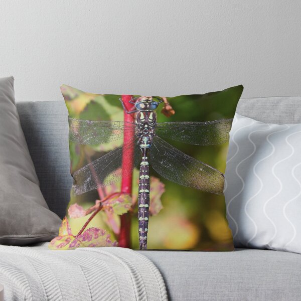 Item preview, Stunning designed and sold by starwarsguy.