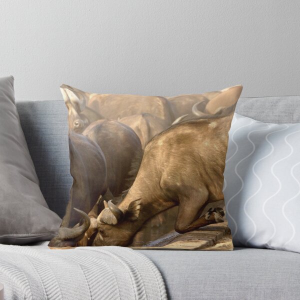 Item preview, The Quest for Water - Kruger National Park designed and sold by eyedocbrian.