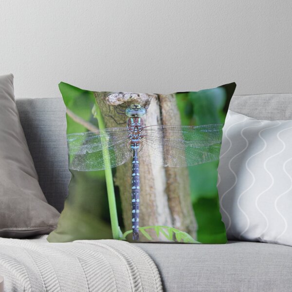 Item preview, Dragonfly designed and sold by NewfieKeith.