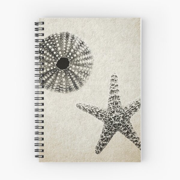 Item preview, Starfish and Sea Urchin Shell | Lithograph Style Print  designed and sold by Daniel Watts.