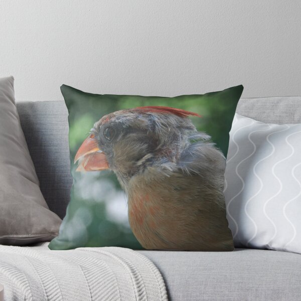 Artikelvorschau, Young Northern Cardinal entworfen und verkauft von G. David Chafin Photography.