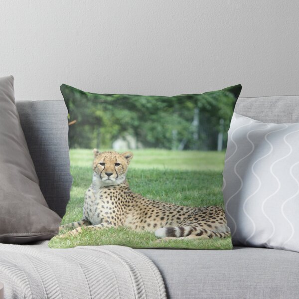 Item preview, Cheeta designed and sold by NewfieKeith.