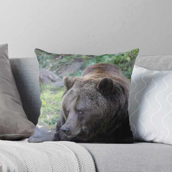 Item preview, Fred the Bear - Doesn't Dare ... designed and sold by karina5.