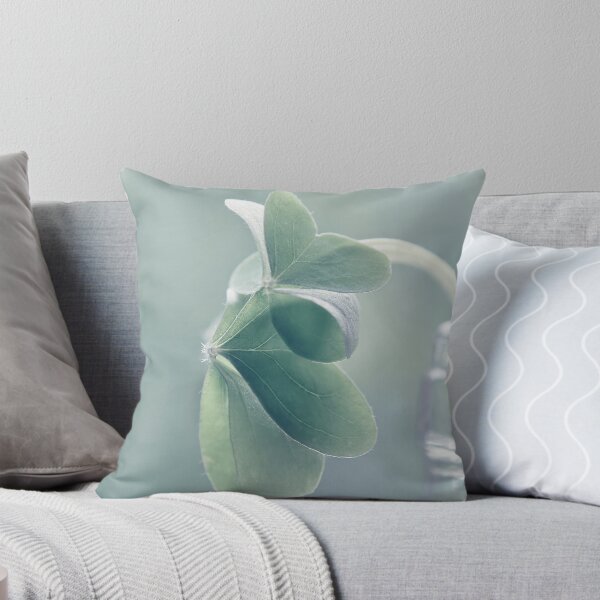 Item preview, unfolding designed and sold by Ingrid Beddoes Photography.