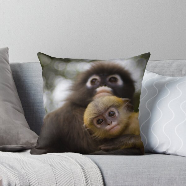 Item preview, Spectacled Langur Monkeys ~ Thailand  designed and sold by Daniel Nahabedian.
