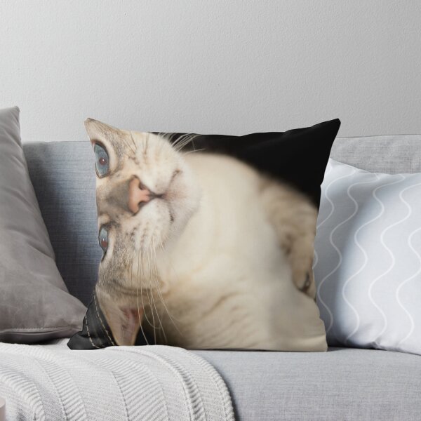 Artikelvorschau, Rolling Cat entworfen und verkauft von LinleyandCharles Photography.