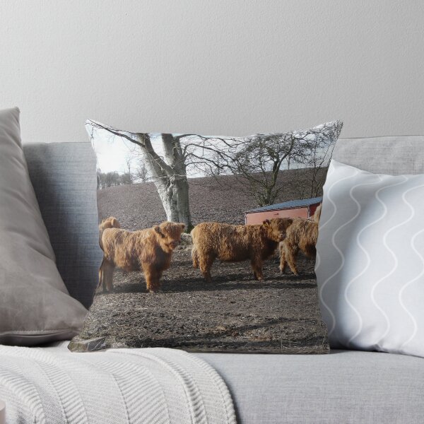 Item preview, Family of Wee Calfs designed and sold by pater54.