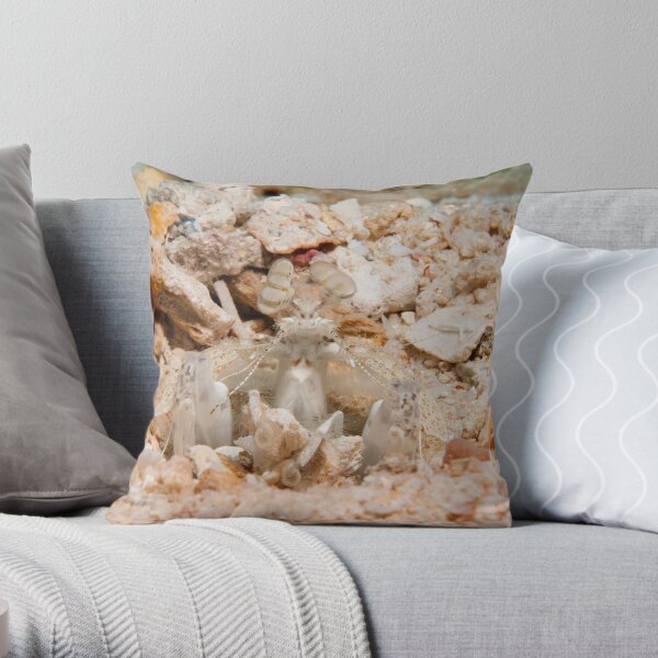 Mantis Shrimp, Walindi, Papua New Guinea Throw Pillow
