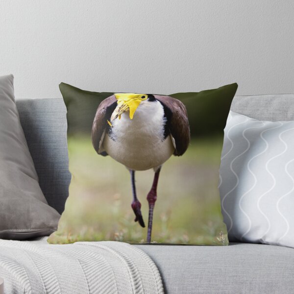 Item preview, Masked Lapwing designed and sold by John Van Den Broeke.