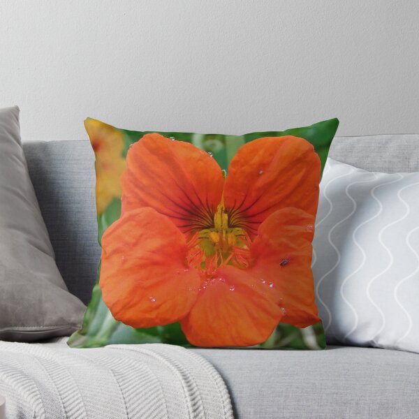 Item preview, Colours's to Please The Beholder designed and sold by Rick Playle.