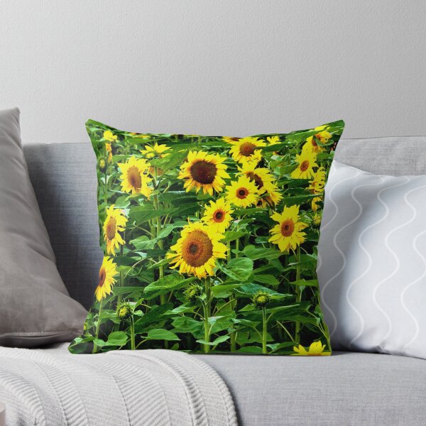 Artikelvorschau, sunflowers, Eden Project Cornwall entworfen und verkauft von hoppityhops.