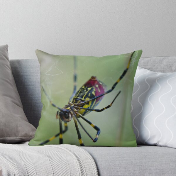Artikelvorschau, Nightmare Spider entworfen und verkauft von brian hammonds.