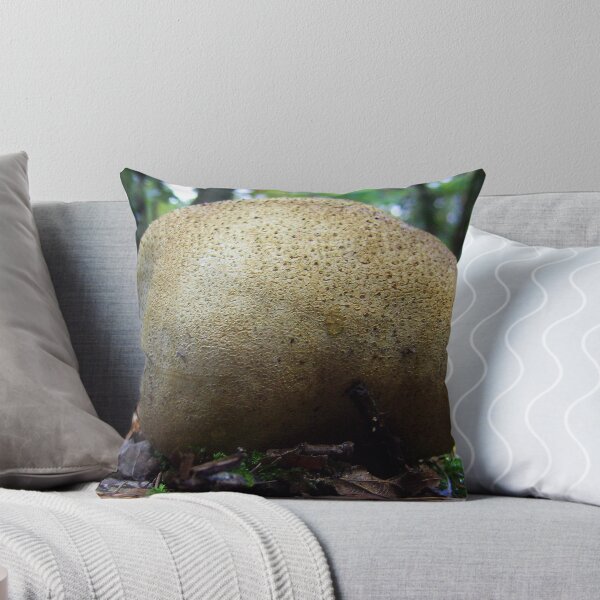 Item preview, Puffball fungi. designed and sold by alaskaman53.