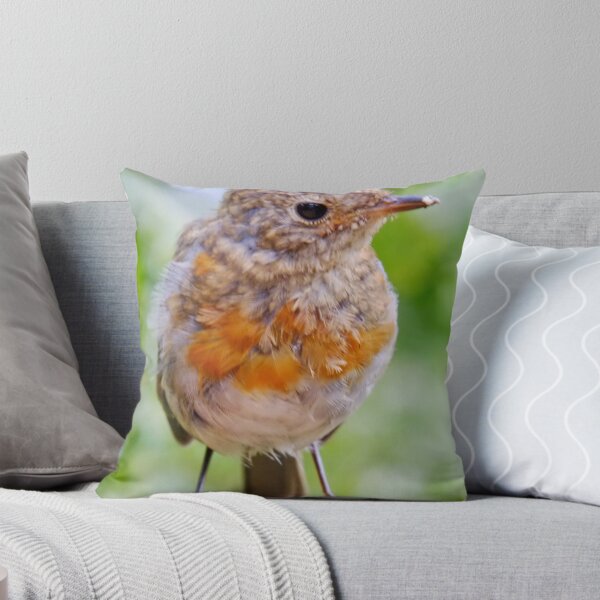 Item preview, Juvenile Robin designed and sold by AnnDixon.