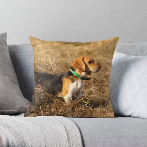 Green Country Beagles Throw Pillow