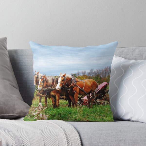 Item preview, Serious Horse Power designed and sold by Marcia Rubin.