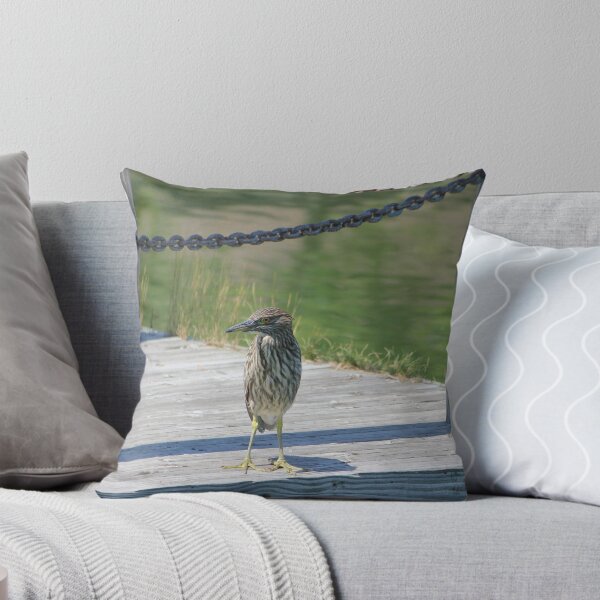 Item preview, Posing on the dock "Green Night Heron" designed and sold by NewfieKeith.